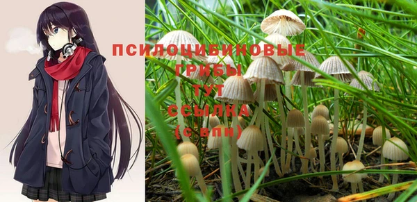 крисы Володарск