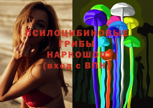 дурь Волоколамск